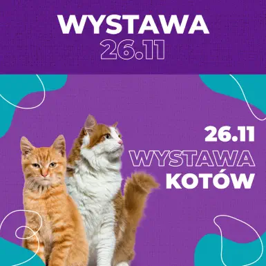 Metropolia - Wystawa Kotów 2022